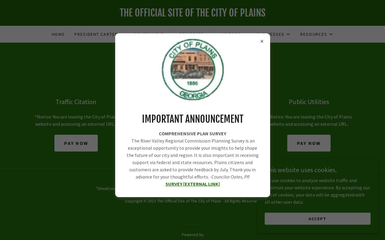 Official Plains citation payment page linking to PayGov